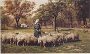 unknow artist Sheep 179 oil painting picture wholesale